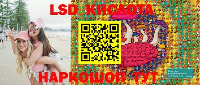 прущие грибы Краснодар
