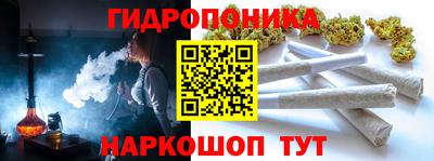 прущие грибы Краснодар