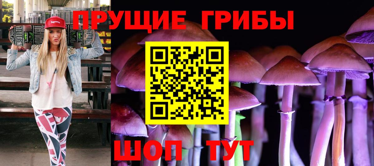 Елец  Псилоцибиновые грибы GOLDEN TEACHER  как найти закладки  Вход с VPN  Псилоцибиновые грибы ЛСД 